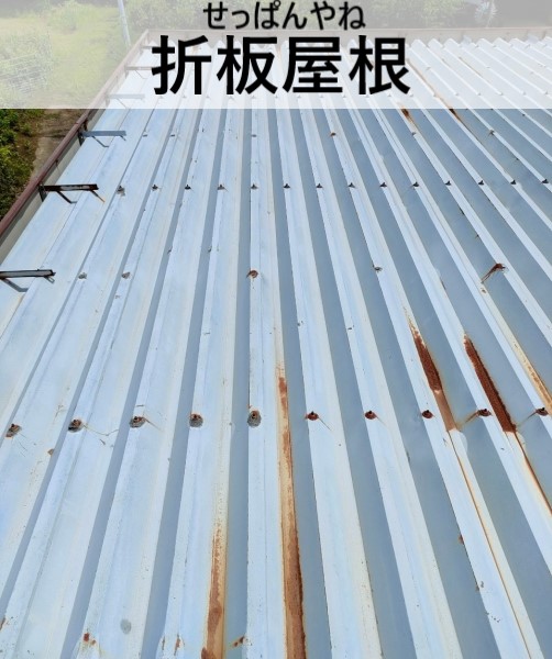 折板屋根　熊本　雨漏り調査